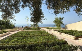 L'orto botanico più antico d'Italia lo trovi a Salerno: guida al Giardino della Minerva
