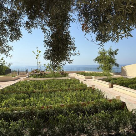 L'orto botanico più antico d'Italia lo trovi a Salerno: guida al Giardino della Minerva