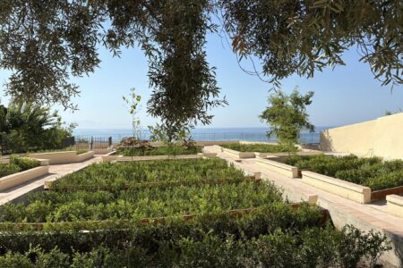 L'orto botanico più antico d'Italia lo trovi a Salerno: guida al Giardino della Minerva