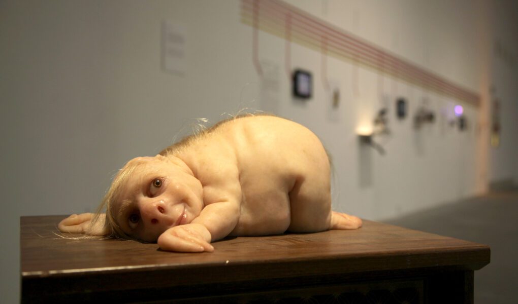 5 opere iconiche che devi conoscere di Patricia Piccinini