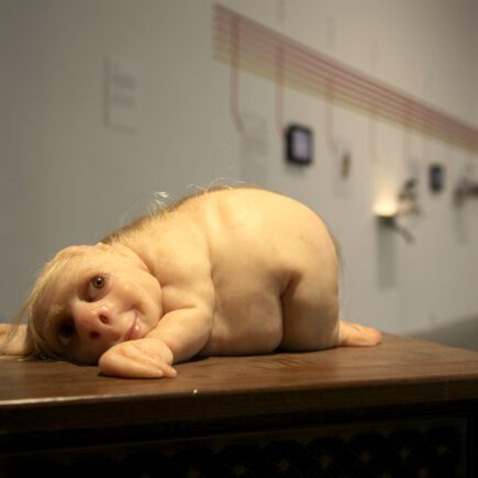 5 opere iconiche che devi conoscere di Patricia Piccinini