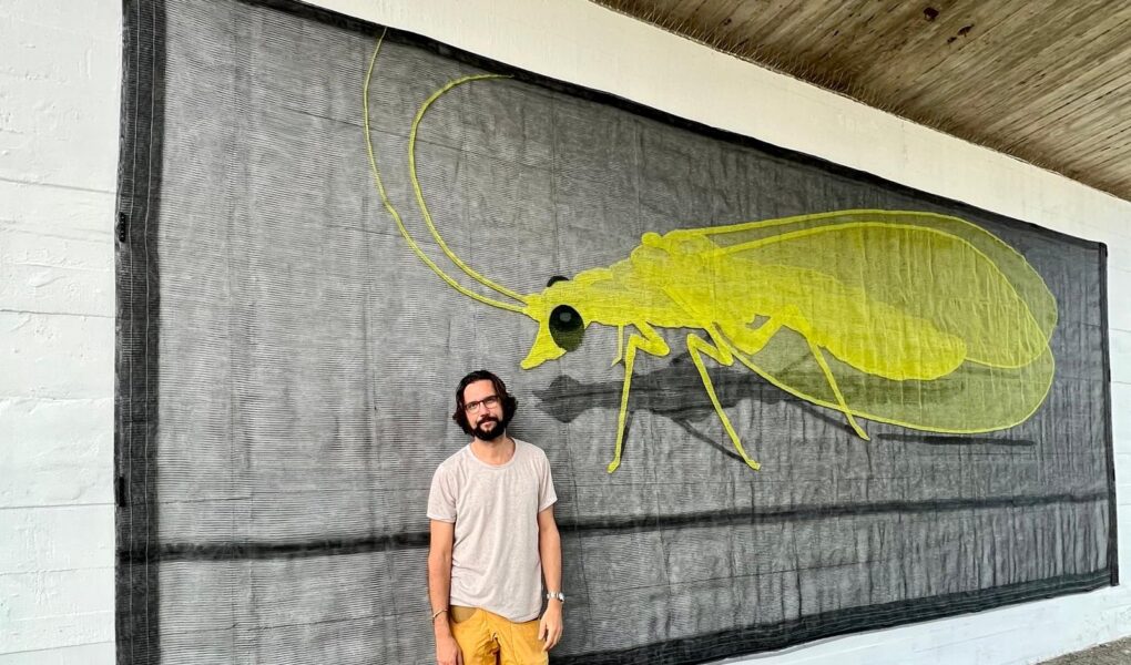 Oggi 12 settembre 2025 parte Scultura diffusa a Pinerolo. Il comunicato