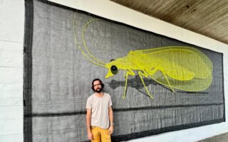 Oggi 12 settembre 2025 parte Scultura diffusa a Pinerolo. Il comunicato