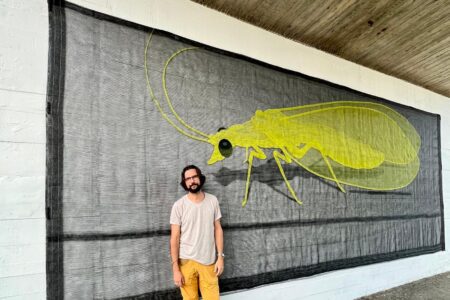 Oggi 12 settembre 2025 parte Scultura diffusa a Pinerolo. Il comunicato