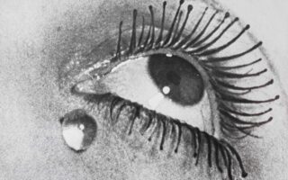 5 mostre da non perdere a settembre 2025, da Nord a Sud, in sintesi