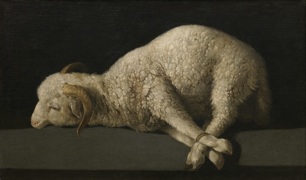 Francisco de Zurbarán: il bianco, il monaco, il silenzio Nel 1628 Zurbarán dipinse San Serapio per la sagrestia del co