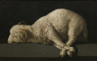 Francisco de Zurbarán: il bianco, il monaco, il silenzio Nel 1628 Zurbarán dipinse San Serapio per la sagrestia del co