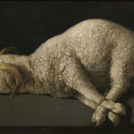 Francisco de Zurbarán: il bianco, il monaco, il silenzio Nel 1628 Zurbarán dipinse San Serapio per la sagrestia del co
