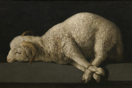 Francisco de Zurbarán: il bianco, il monaco, il silenzio Nel 1628 Zurbarán dipinse San Serapio per la sagrestia del co