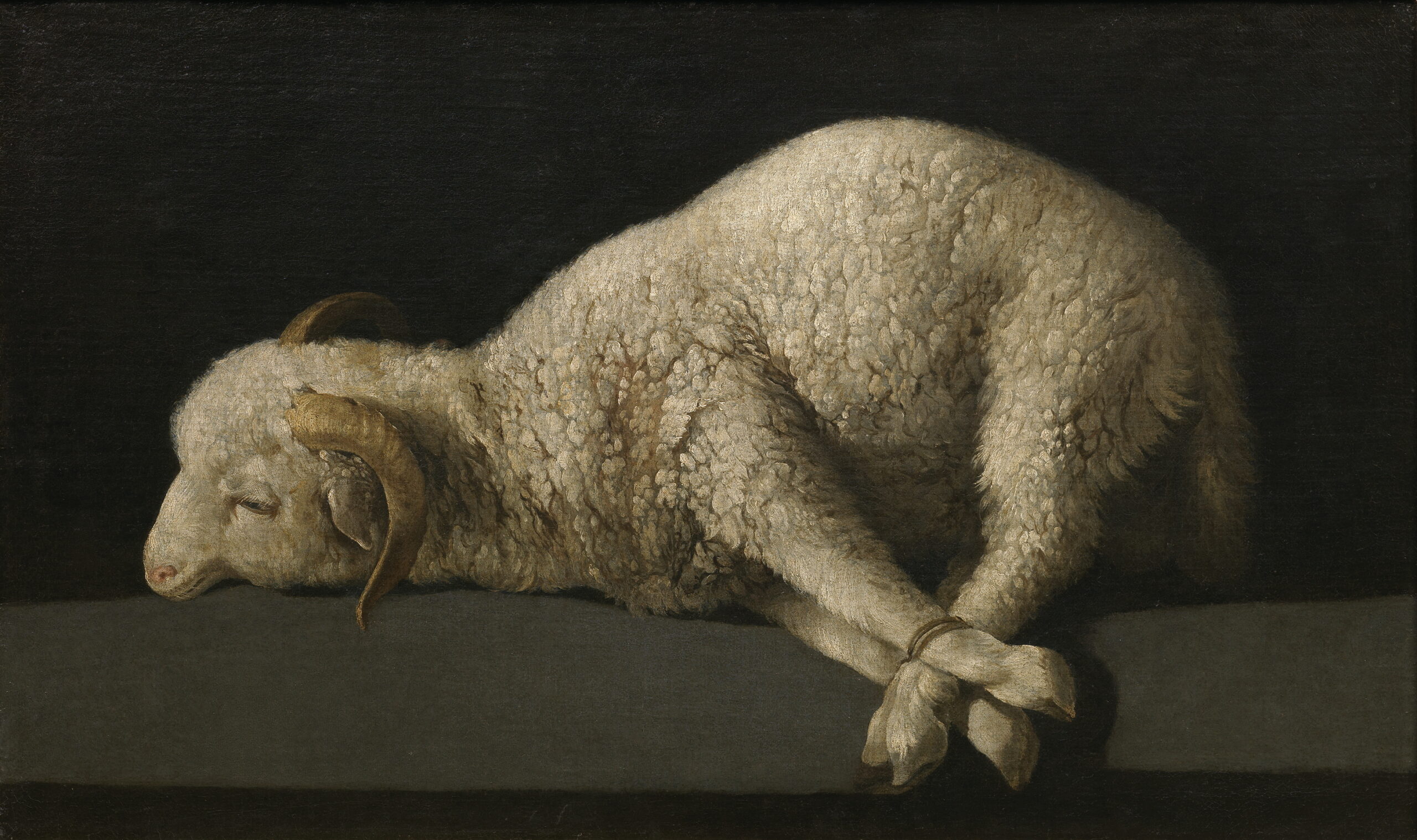 Francisco de Zurbarán: il bianco, il monaco, il silenzio